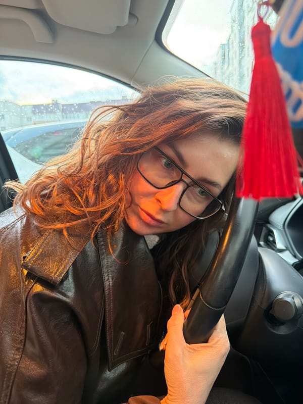 Woman documents car journey through Chaikovsky with selfies