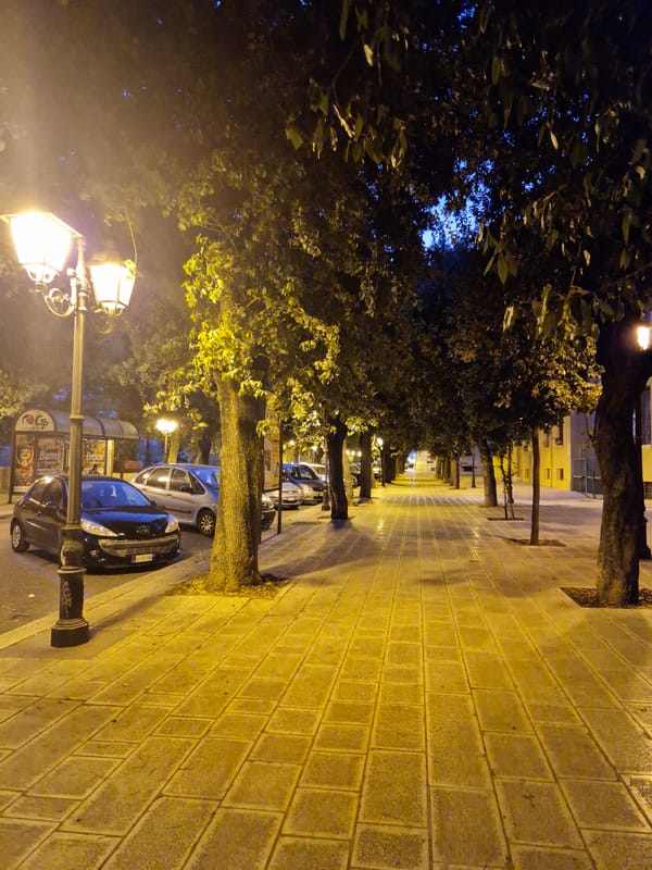 Hibiscus and night streets in Taranto, Italy