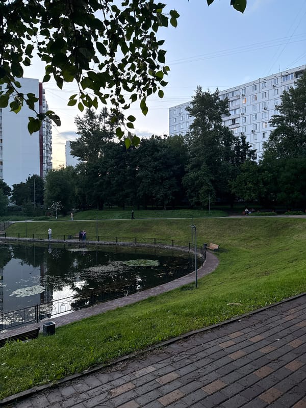 Evening stroll by a lily pad pond in Moscow