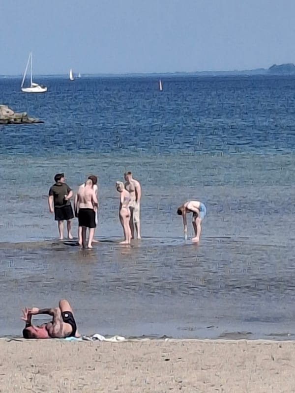 Afternoon beach activities unfold at Aabenraa Denmark waterfront
