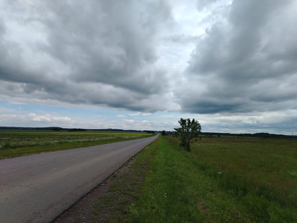 Cloudy day over open fields, wildflowers, and rural roads