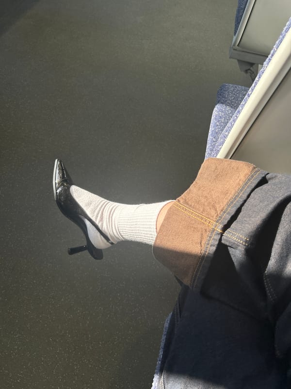 Passenger captured on public transport in Hertsmere