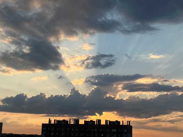 City sunset watched closely, with a snail intermission