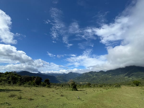 Upside-down landscape photograph captured in Illukkumbura, Sri Lanka