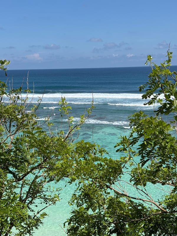 Coastal scenes and monkey encounters documented in Ungasan Indonesia
