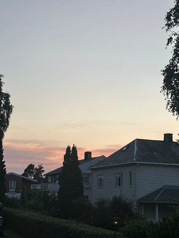 Dusk at home: dolls, toys, a cat, and suburban skies
