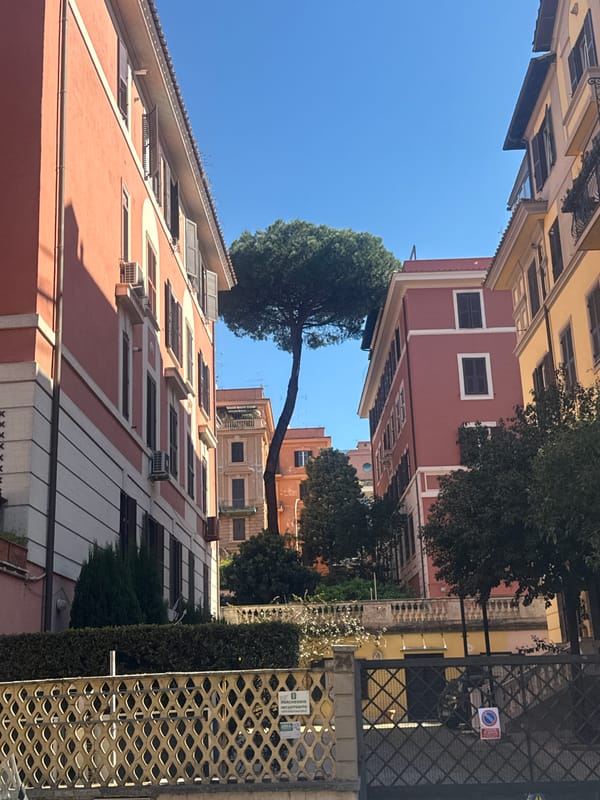 Morning street scene captured in historic Rome neighborhood