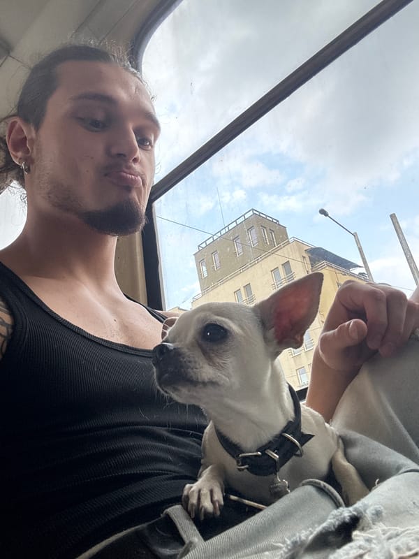 Selfie with a Chihuahua on a busy Sofia street