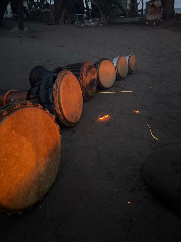 Drums, fire, and dusk at a casual beach gathering