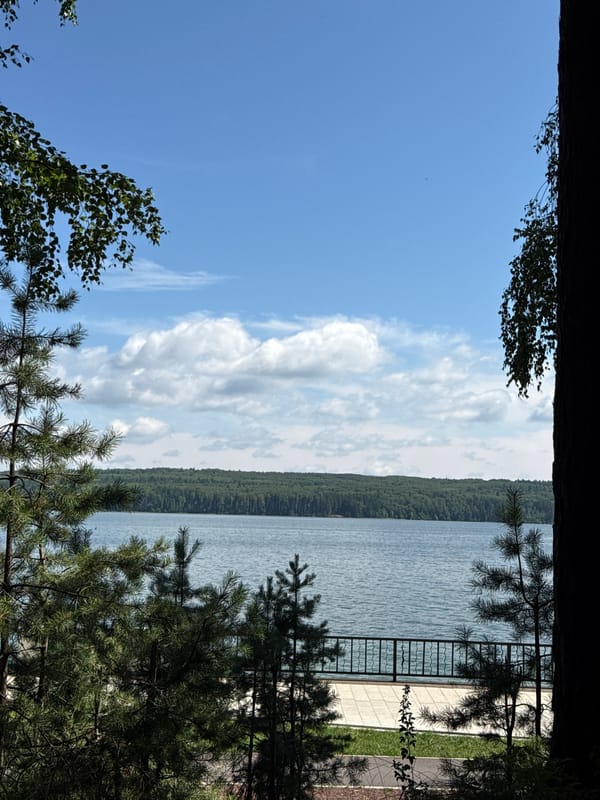 Dog walk and riverside morning in Chaikovsky, Russia