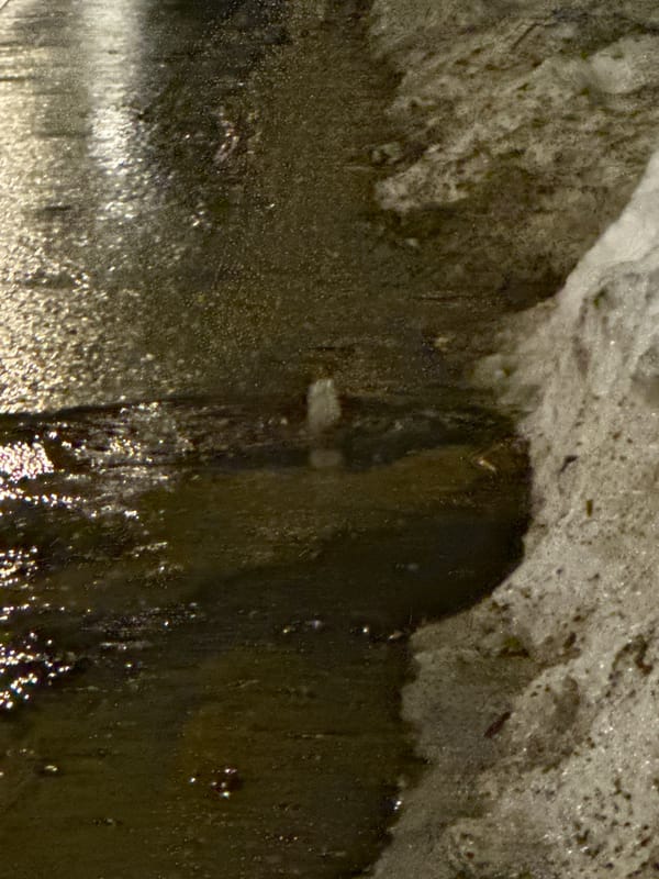 Evening documentation of wet winter streets and infrastructure in Moscow