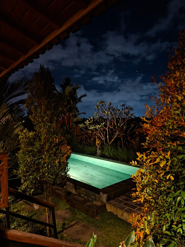 Nighttime garden scene photographed in Ubud, Indonesia