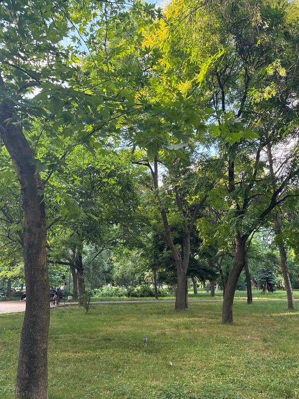 Afternoon park scenes and street life in Plovdiv