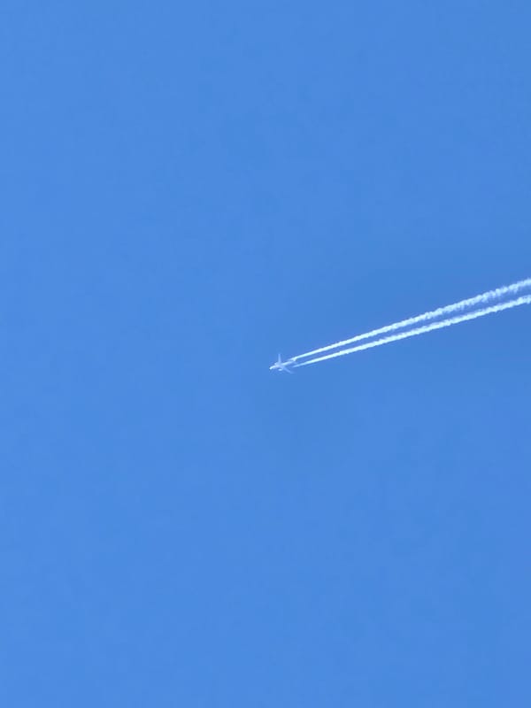 Spring beach scenes captured in Noviy, Russia waterfront area