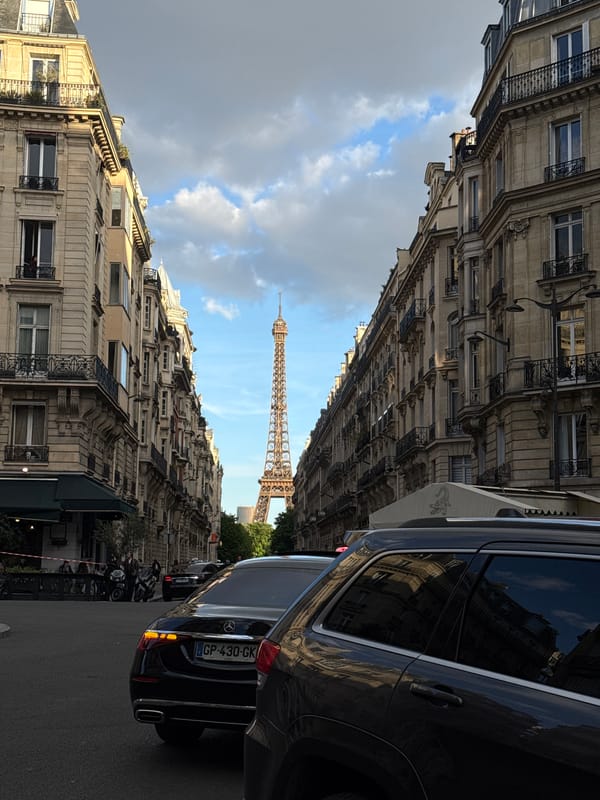 Paris street scenes: Eiffel Tower view, flower stall captured