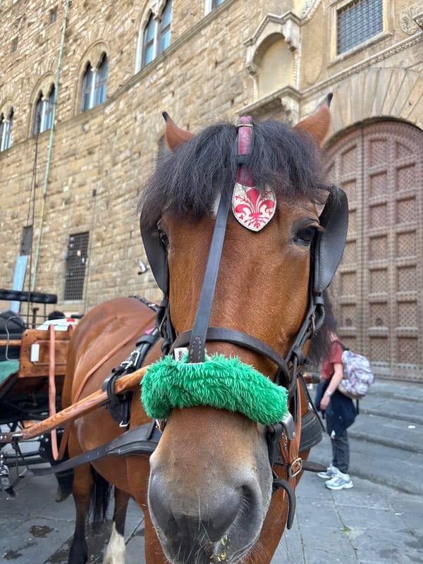 Tourist horse carriages operate in Florence's Piazza della Signoria