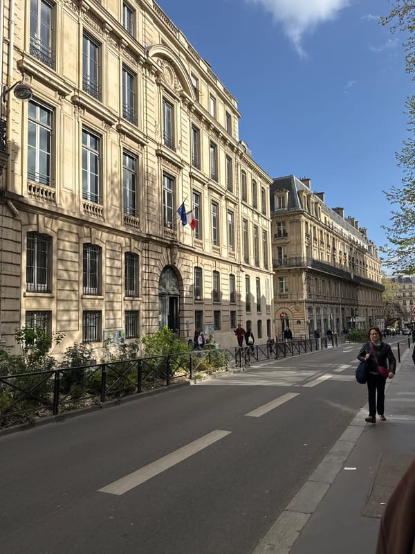 Parisian street displays classical architecture with French flags