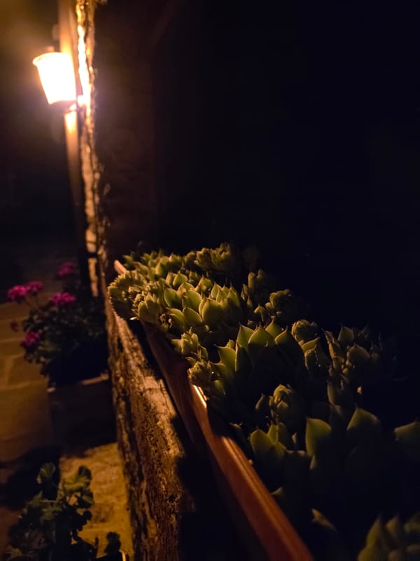 Night garden lights and a LEGO build session at home