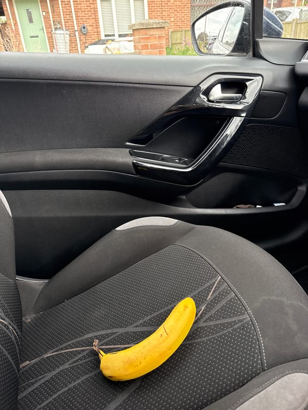 Woman and banana spotted in car in Great Yarmouth