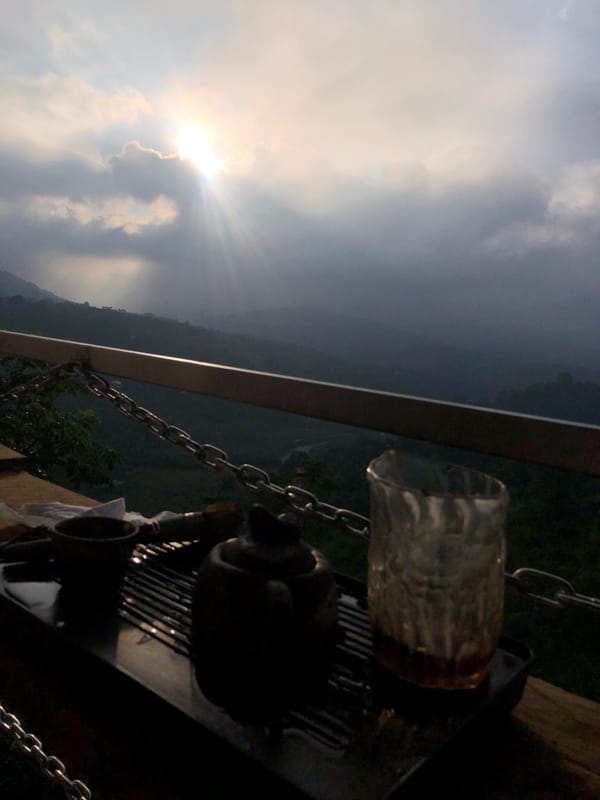 Tea and fading light over misty hills in Thôn 3