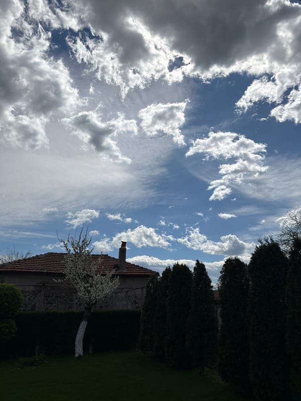 Spring blooms documented in Bulgarian village morning
