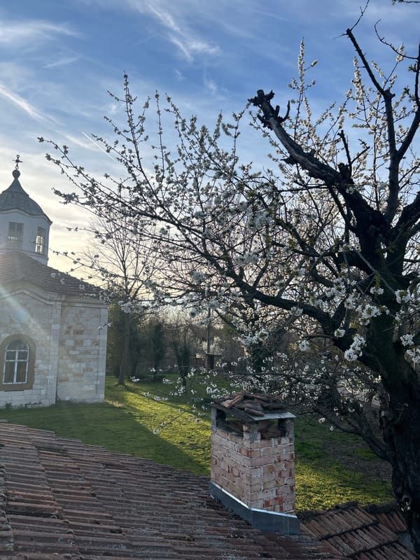 Spring blossoms frame historic building in Krushuna, Bulgaria