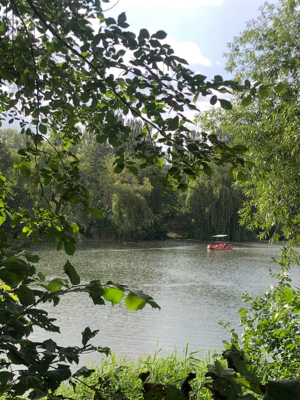 Red paddle boat on a rain-kissed, sun-dappled lake