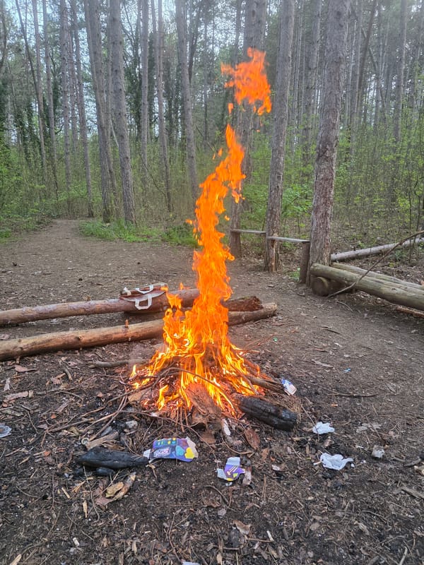 Campfire gathering with cooking documented by multiple witnesses
