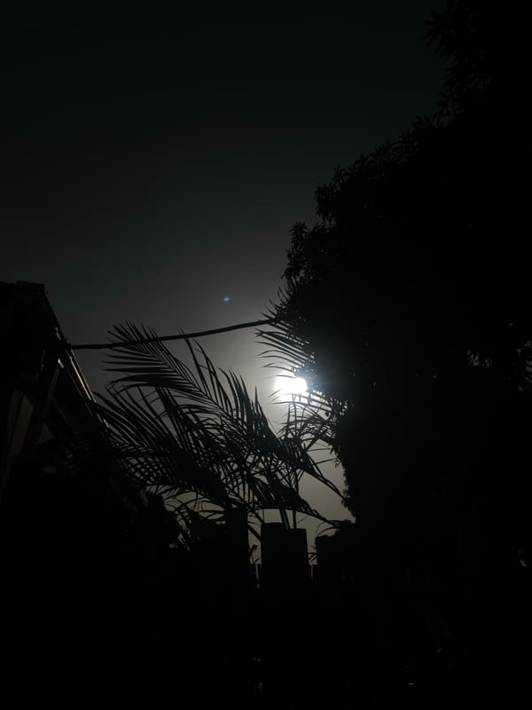 Dramatic backlighting documented in Barden Yana, Nigeria