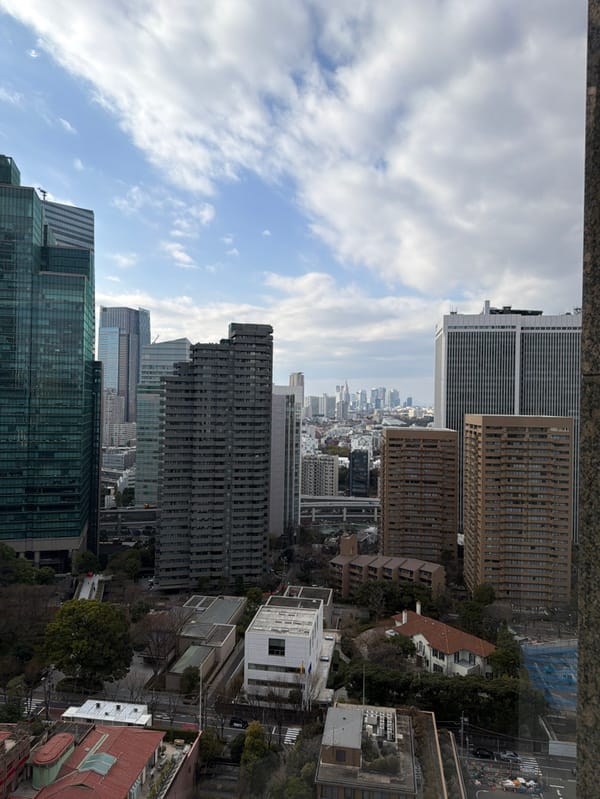 Morning cityscape and diplomatic flags observed in Tokyo's Minato