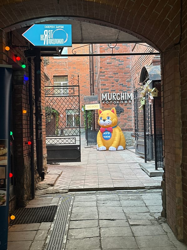 Cartoon cat figure and selfie moment captured in Novosibirsk