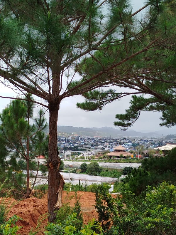 Scenes from the hills and roads around Lang Biang, Da Lat