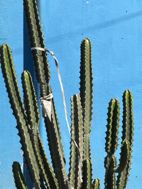 Witness captures daytime urban landscape in Pokhara, Nepal