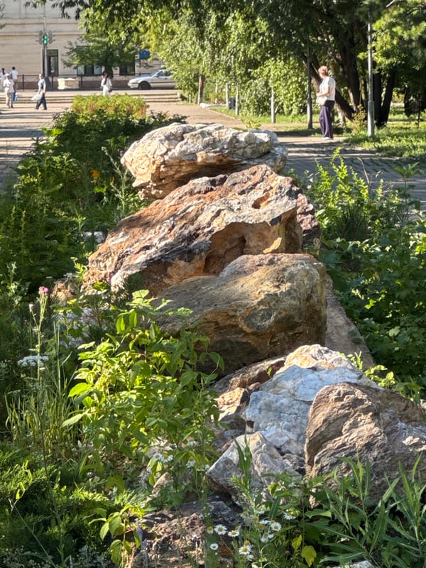 Sunny afternoon in a Kokshetau city park, midsummer 2026