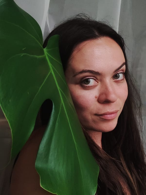 Rainy afternoon in Chaikovsky: rainbows, houseplants, and a cat