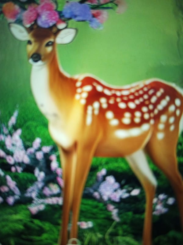 Mixed natural and digital imagery recorded in Tinaquillo, Venezuela