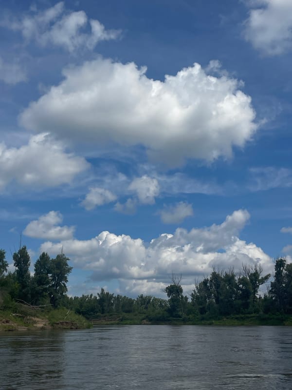 Morning river scene captured in Samorodovo, Russia