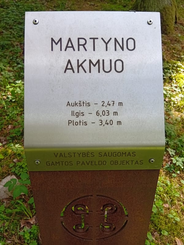 Morning nature walk documented in Varputėnai forest trails