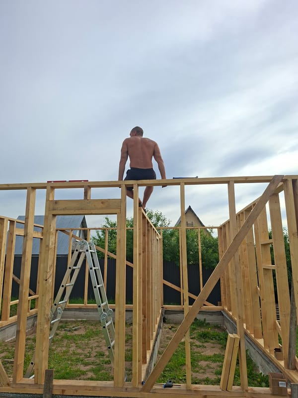 Wooden frame house going up in rural Russia, midsummer
