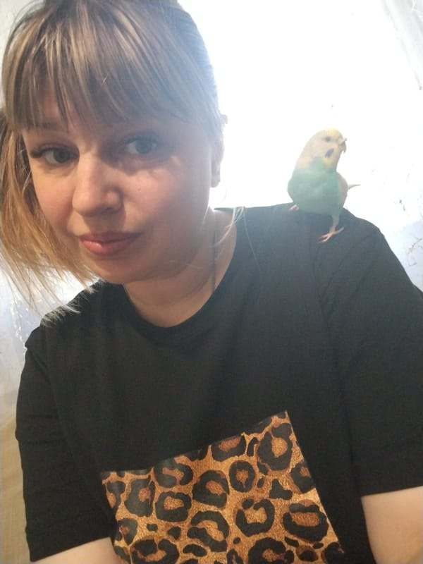 Woman documents playful afternoon with pet parakeets in Yaroslavl home