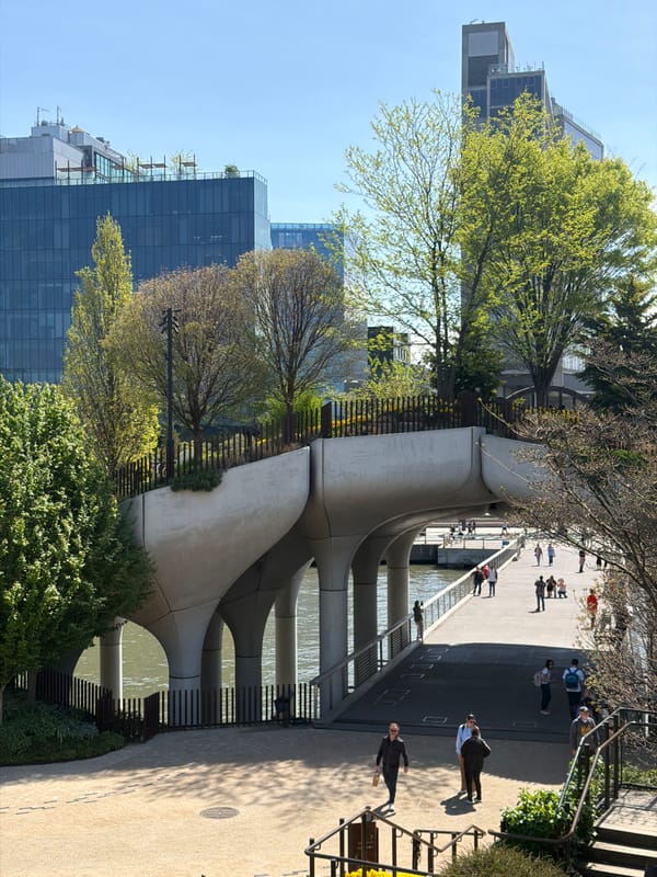 Spring blooms frame NYC skyline views across water