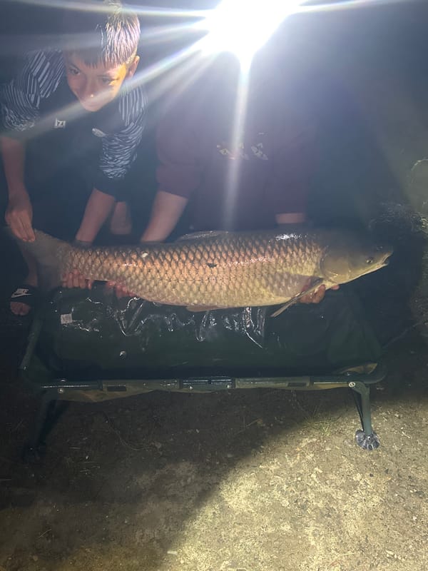 Night carp fishing and lakeside camping at Blagoevgrad