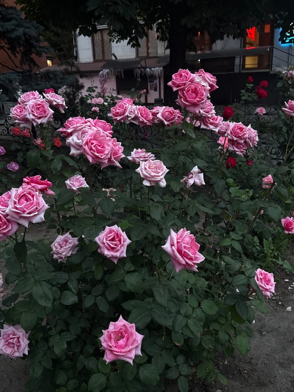 Urban photographer documents Dnipro street scenes during afternoon walk