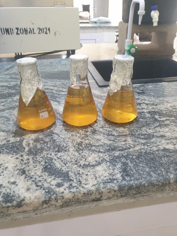 Laboratory work session documented with students conducting chemistry experiments