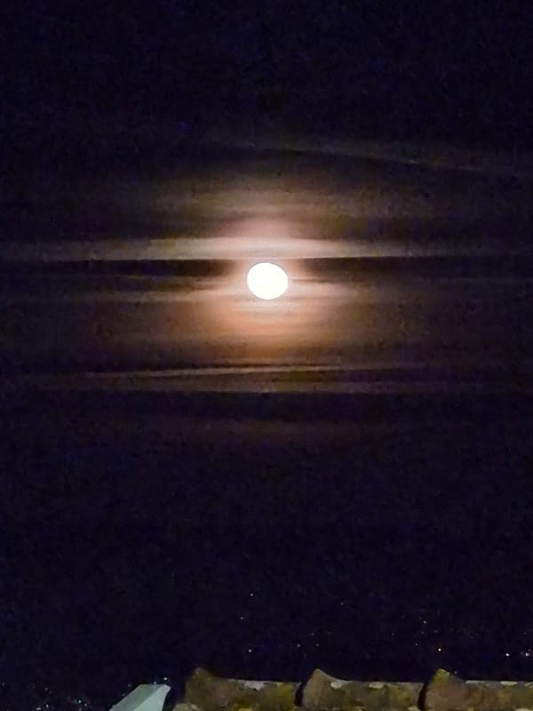 Evening cake-making and domestic moments captured in Barcelos, Portugal