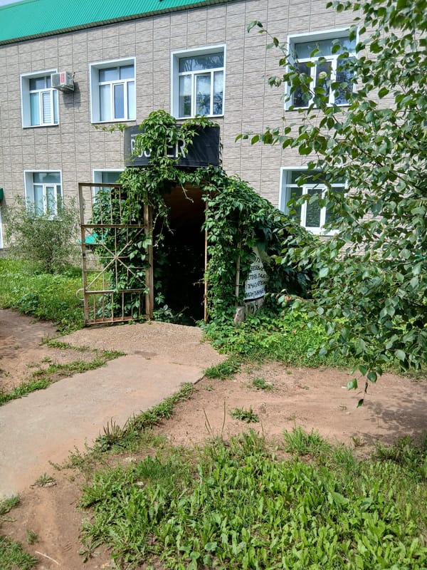 Summer morning among gardens and an ivy-covered building