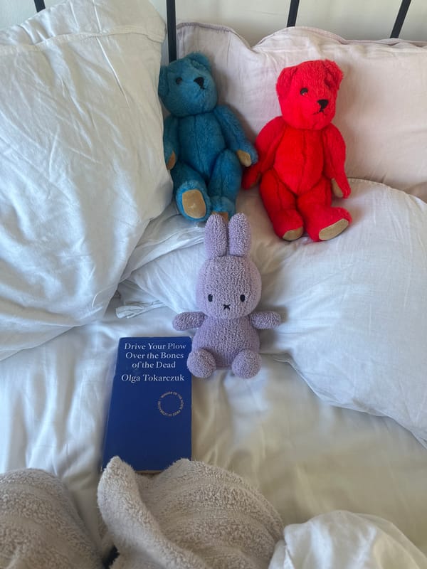 Woman documents vintage teddy bear collection in Kent countryside