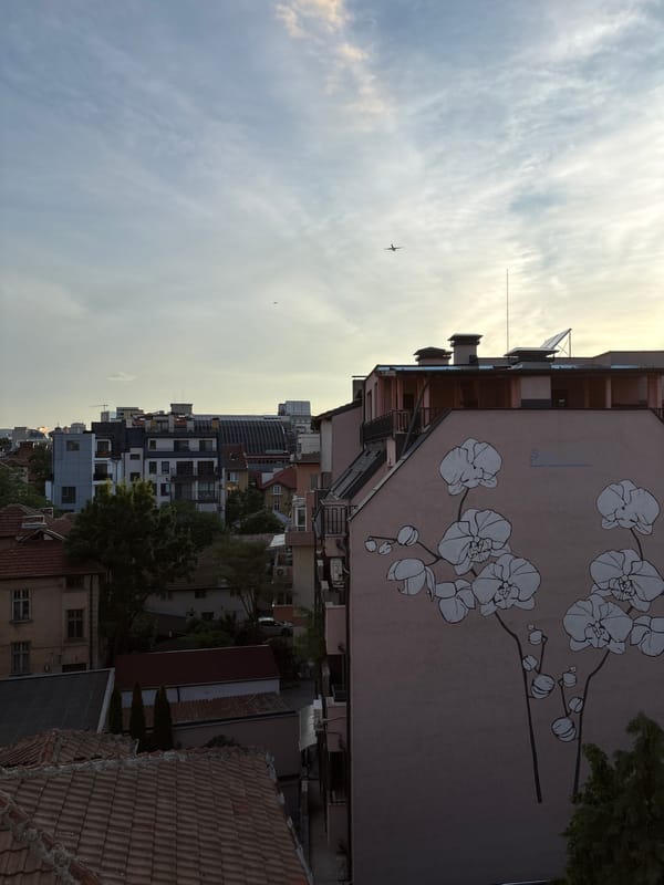 Vivid sunset illuminates Sofia skyline, orchid mural spotted
