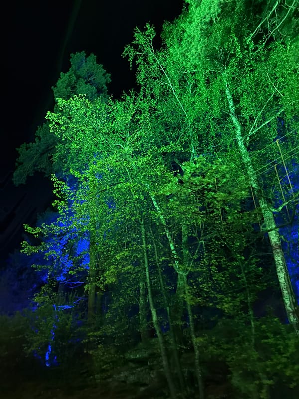 Nighttime tree lighting display observed in Zolotoi Plyazh, Russia