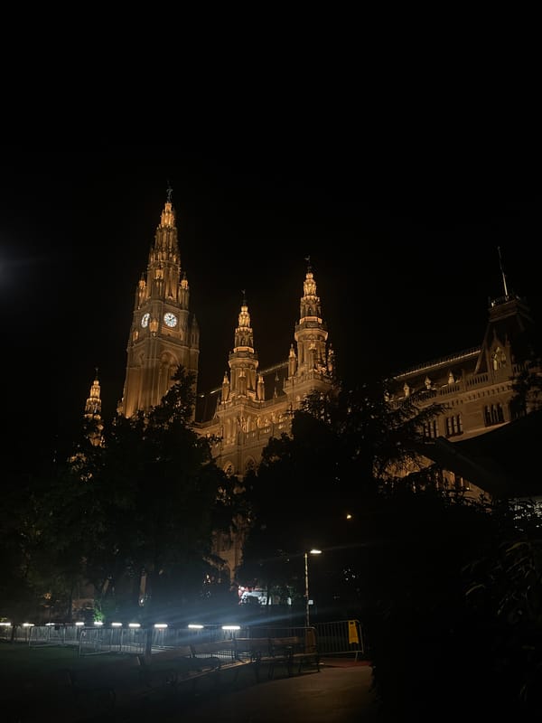Vienna City Hall illuminated at night attracts selfie-taking visitor